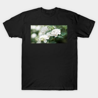 White flowers closeup T-Shirt